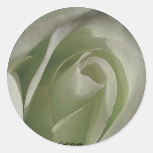 Sticker Rond Sceller Rose gris  Mariage Enveloppe (Devant)