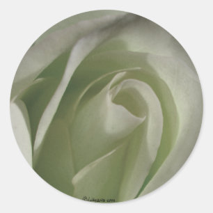 Sticker Rond Sceller Rose gris Mariage Enveloppe