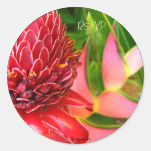 Sticker Rond Scellés/Stickers Mariage Tropical Ginger