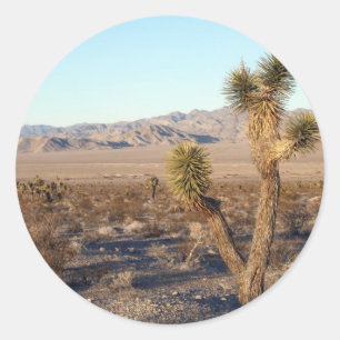 Sticker Rond Scène 01 de désert de Mojave
