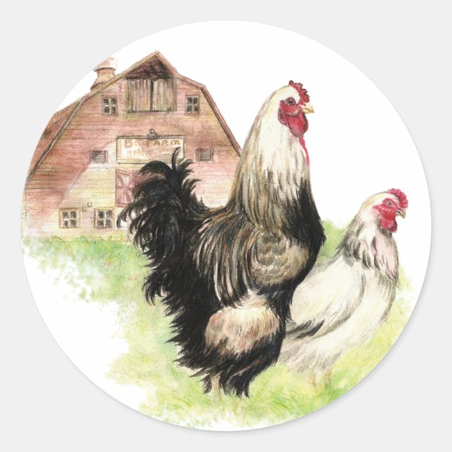 Sticker Rond Scène de la ferme de poulets et de granges à Custo (Devant)