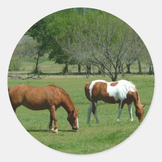 Sticker Rond Scène des Chevaux (Devant)