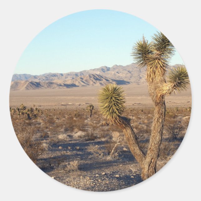 Sticker Rond Scène du désert de Mojave 01 (Devant)