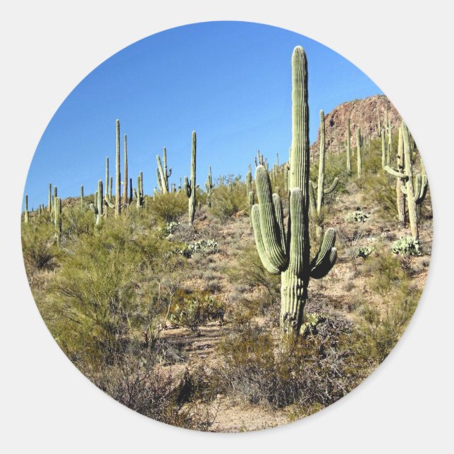 Sticker Rond Scène du désert de Sonoran 03 (Devant)