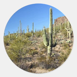 Sticker Rond Scène du désert de Sonoran 03