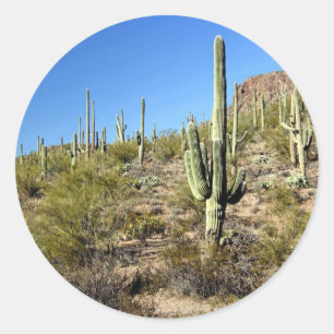 Sticker Rond Scène du désert de Sonoran 03
