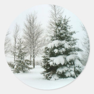 Sticker Rond Scène hivernale