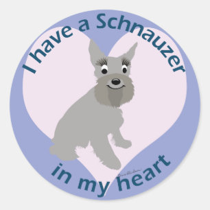 Sticker Rond Schnauzer dans mon coeur