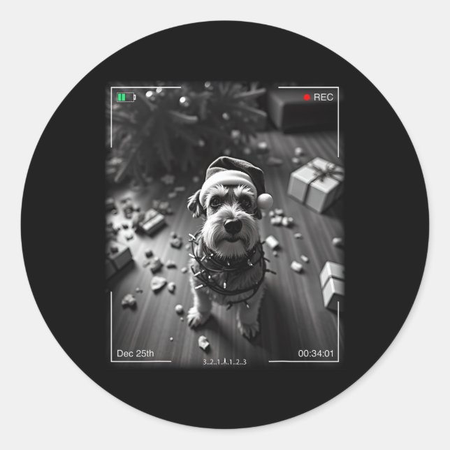 Sticker Rond Schnauzer de Noël pris en caméra  (Devant)
