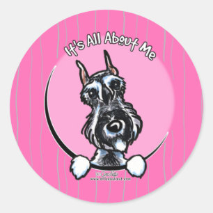 Sticker Rond Schnauzer de poivre de sel IAAM