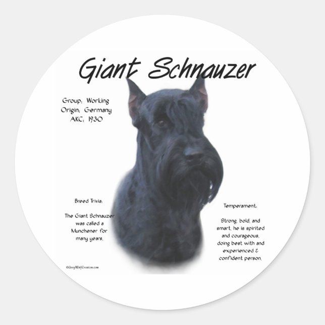 Sticker Rond Schnauzer géant Conception de l'histoire (Devant)
