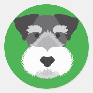Sticker Rond Schnauzer miniature