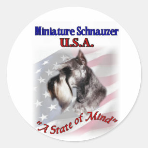 Sticker Rond Schnauzer USA