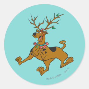 Sticker Rond Scooby-Doo Noël Antlers