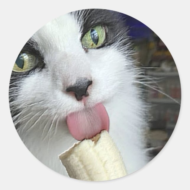 Sticker Rond "Scooter avec bananes snack" (Devant)