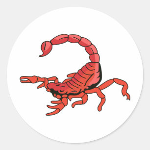 STICKER ROND SCORPION