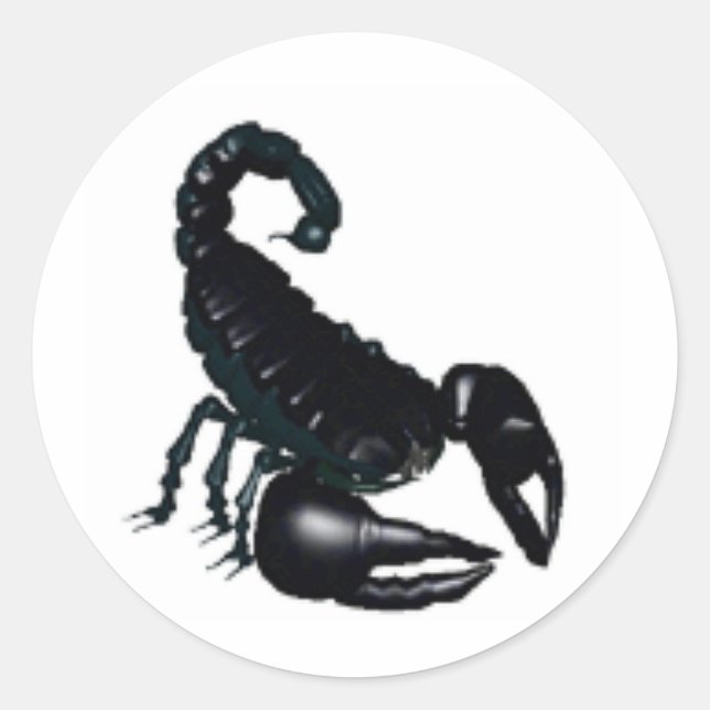 Sticker Rond Scorpion noir (Devant)