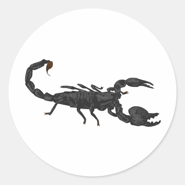 Sticker Rond Scorpion noir impérial (Devant)