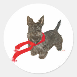 Sticker Rond Scottie d'hiver avec écharpe Wam