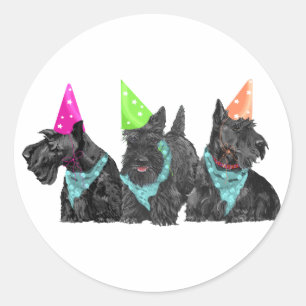 Sticker Rond Scotties de la célébration en chapeaux de fête
