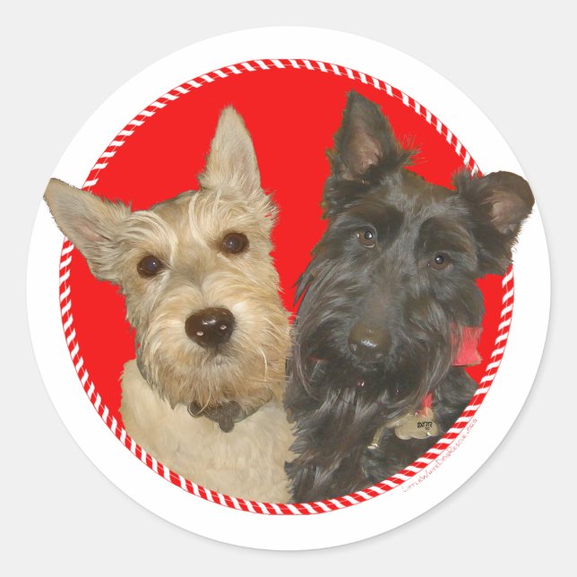 Sticker Rond Scotties roux et noirs de Noël (Devant)