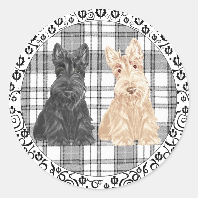 Sticker Rond Scotties tartan (Devant)