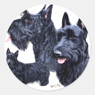 Sticker Rond Scottish Terrier