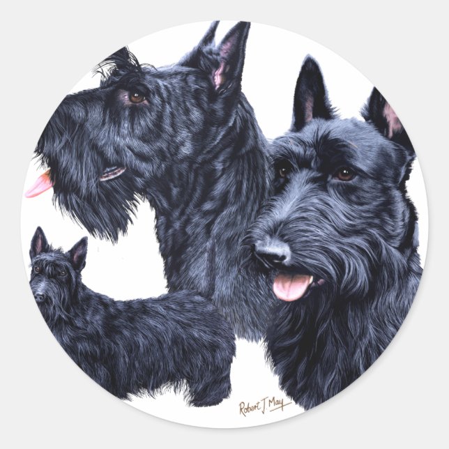 Sticker Rond Scottish Terrier (Devant)