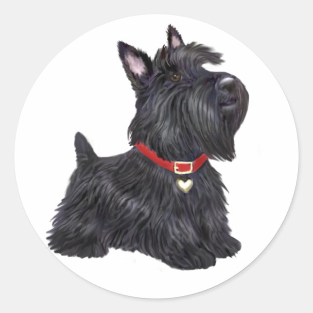 Sticker Rond Scottish Terrier (A) - (par JBF) (Devant)