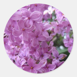 Sticker Rond Sdlilac