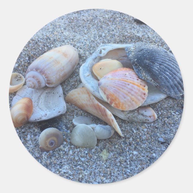 Sticker Rond Sea Shells Paradise Beach (Devant)
