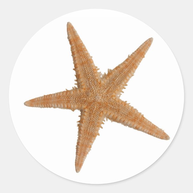 Sticker Rond Sea star (Devant)