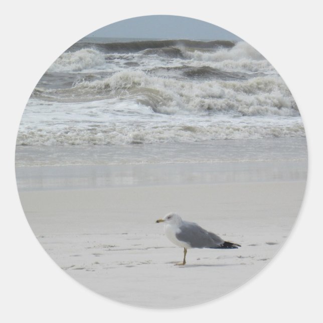 Sticker Rond Seagull on the Beach (Devant)