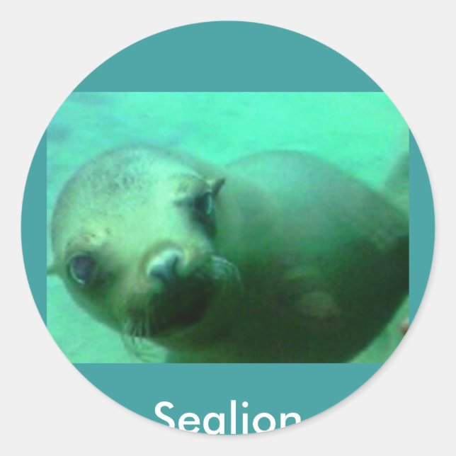 Sticker Rond Sealion (Devant)