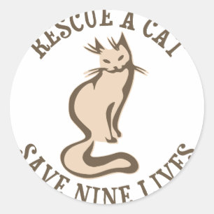 Sticker Rond Secourir Un Chat Sauver Neuf Vies