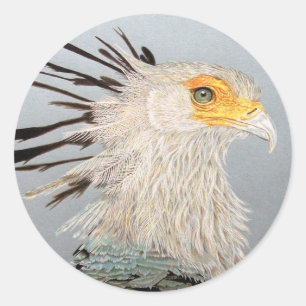 Sticker Rond Secrétaire Bird