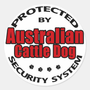 Sticker Rond Sécurité des chiens de combat australiens