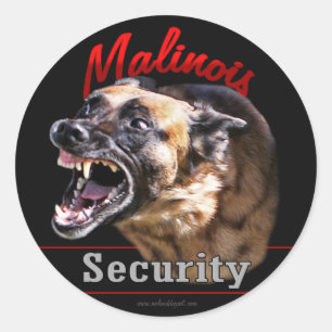 Sticker Rond Sécurité malinoise