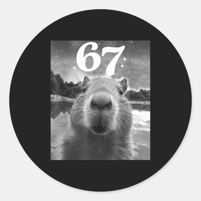 Sticker Rond Selfie de capybara avec graphique capy mème 67 pou (Devant)