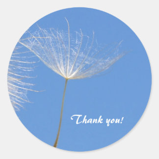 Sticker Rond Sentez libre - Flying Dandelion seed