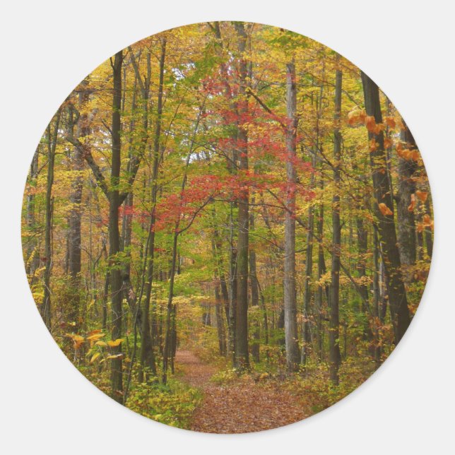 Sticker Rond Sentier de Laurel Hill en automne (Devant)