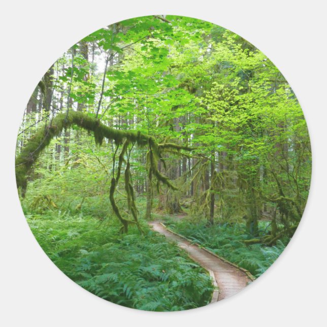 Sticker Rond Sentier des Forêts anciennes du Parc national Olym (Devant)