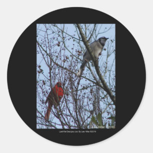 Sticker Rond Sentinels Blue Jay et Cardinal par Lee Hiller