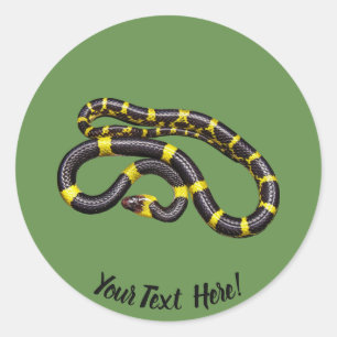 Sticker Rond Serpent noir et jaune
