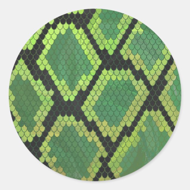 Sticker Rond Serpent noir et vert (Devant)