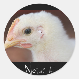 Sticker Rond seulement