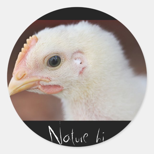Sticker Rond seulement (Devant)