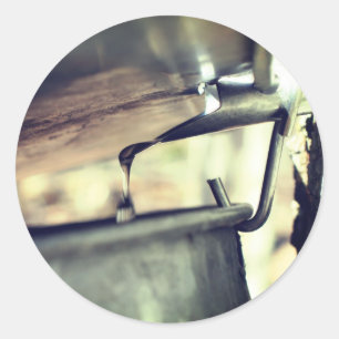 Sticker Rond Sève sirop d'érable qui coule la nature