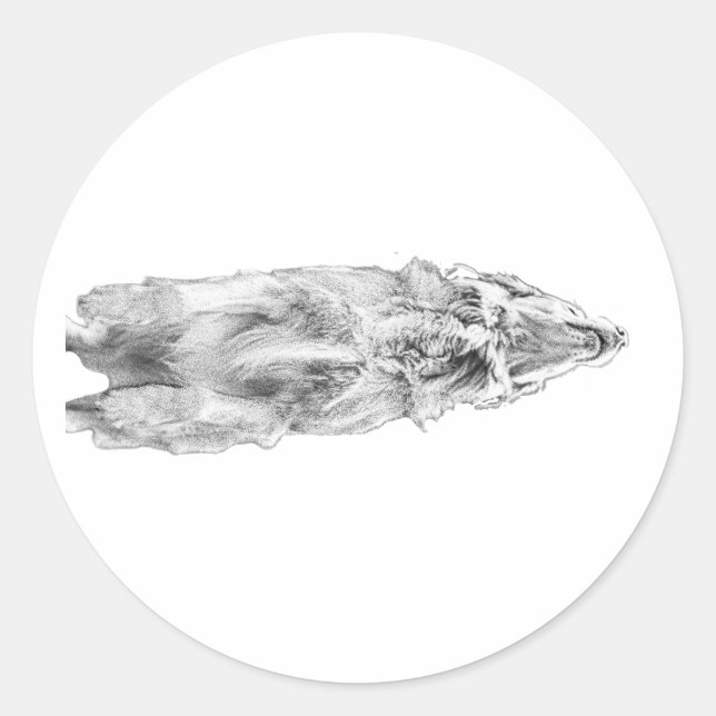 Sticker Rond Shaded retriever, soft look (Devant)