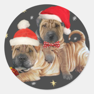 Sticker Rond Shar-pei chinois Un joyeux cadeau de Noël